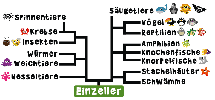 Tiergattungen